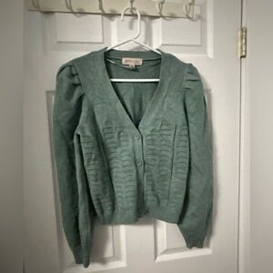 Philosophy Sage Green Button-Front V-Neck Cardigan